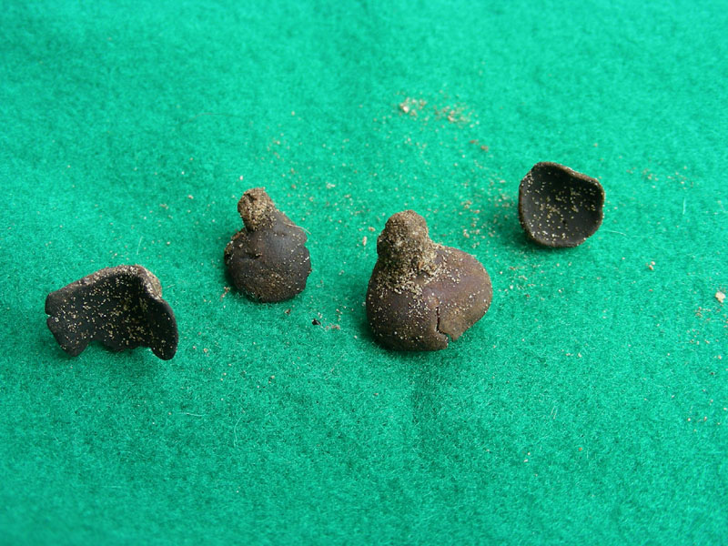 Piccole coppette nere fotog.il 15.01.10.