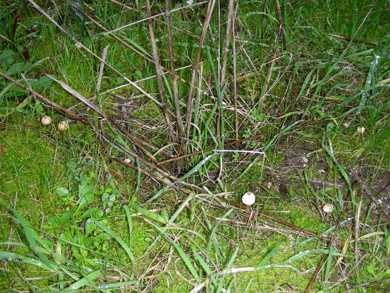 Escursione 26.01.2010.