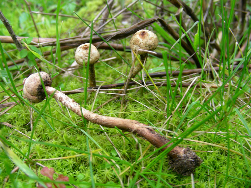 Escursione 26.01.2010.