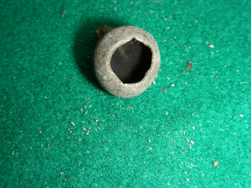 Altra Helvella acetabulum f.ma sulcata?fotog.il 26.01.2010.