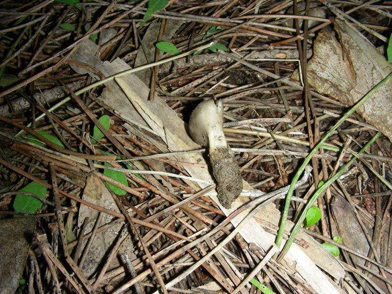 Ritrovamento del 02.02.2010.