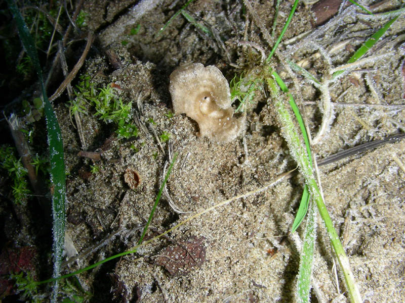 Escursione 02.02.2010.