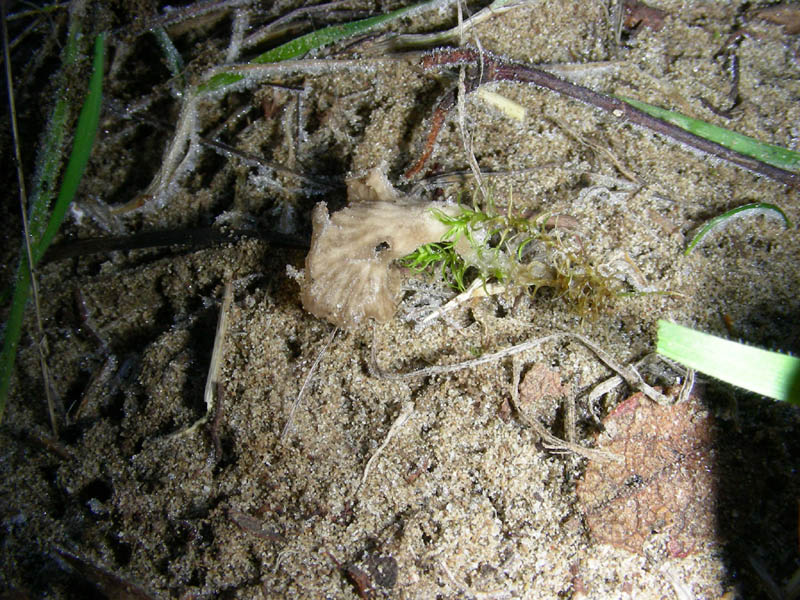 Escursione 02.02.2010.