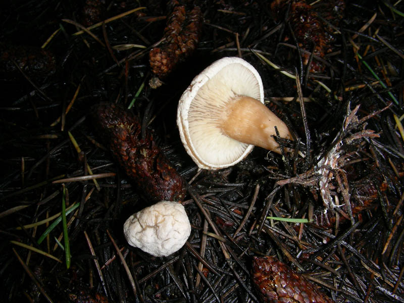 Fotografato il 12.03.10.