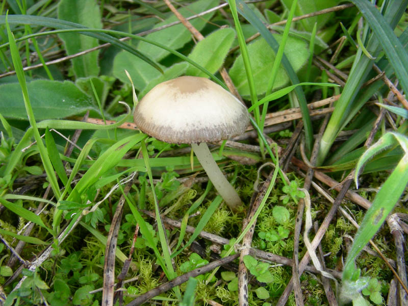 Fotografato. il12.03.10.