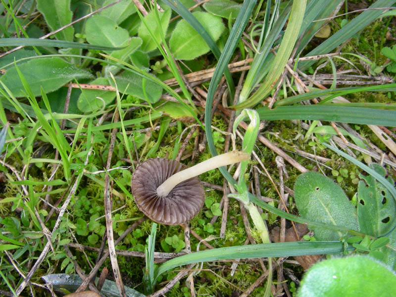 Fotografato. il12.03.10.