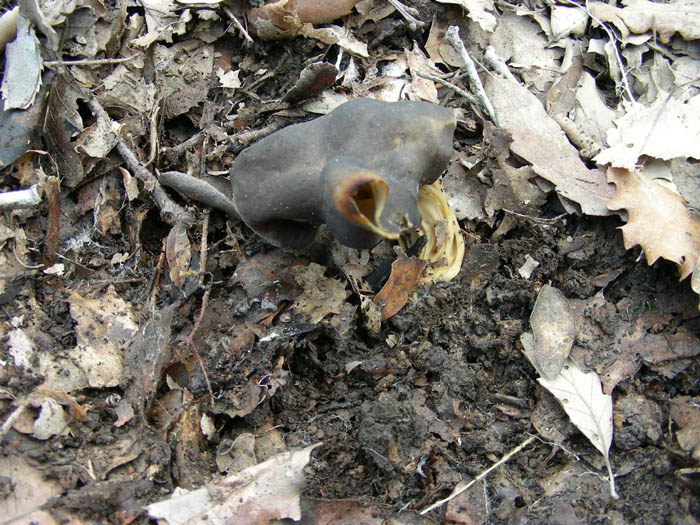 Altri ritrovamenti del 13.02.09.