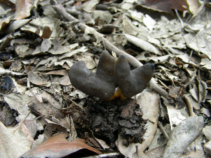 Altri ritrovamenti del 13.02.09.