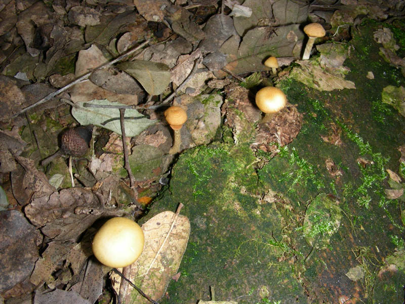 5)ritrovamento del 26.03.10.