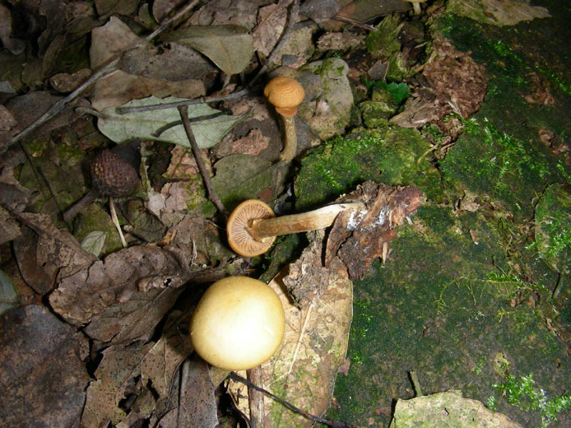 5)ritrovamento del 26.03.10.