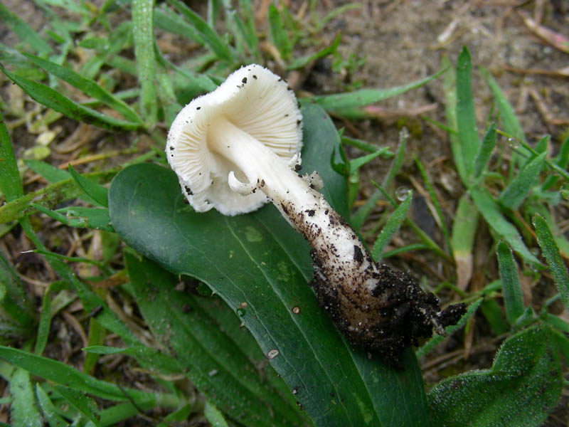 1-Ritrovamento del 13.04.2010.