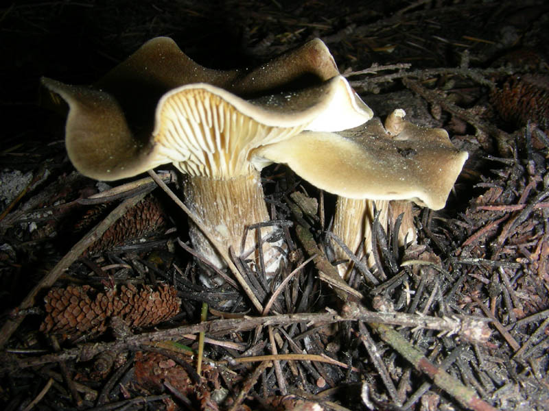 6 Ritrovamento del 13.04.2010.