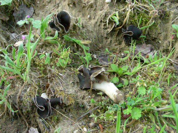 Ritrovamenti del 10.04.09.