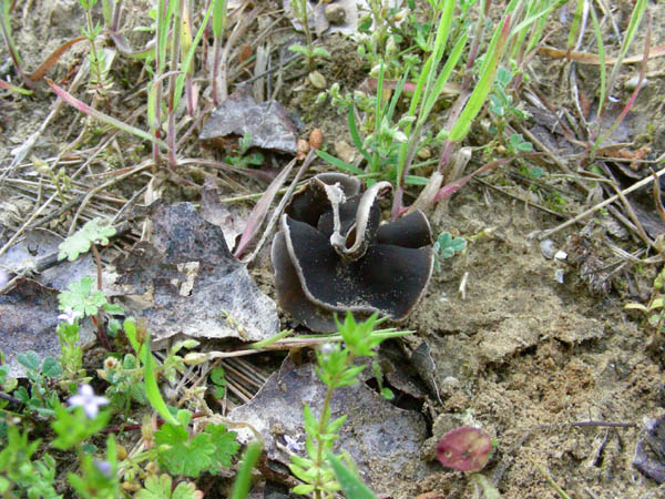 Ritrovamenti del 10.04.09.