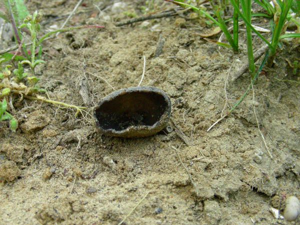 Ritrovamenti del 10.04.09.