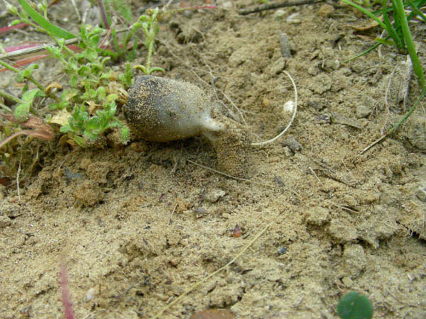 Ritrovamenti del 10.04.09.