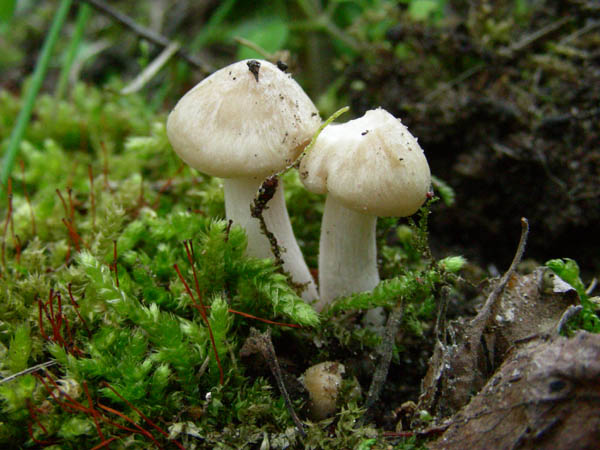 Ritrovamenti del 10.04.09.