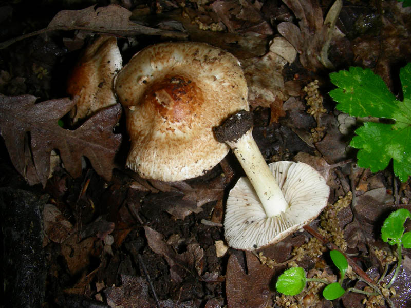 Ritrovamento 04.05.10