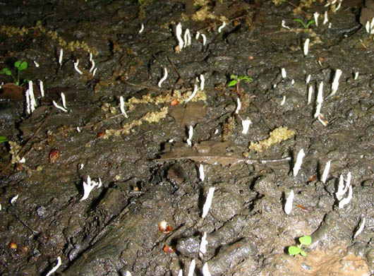 Ritrovamenti del 04.05.2010.