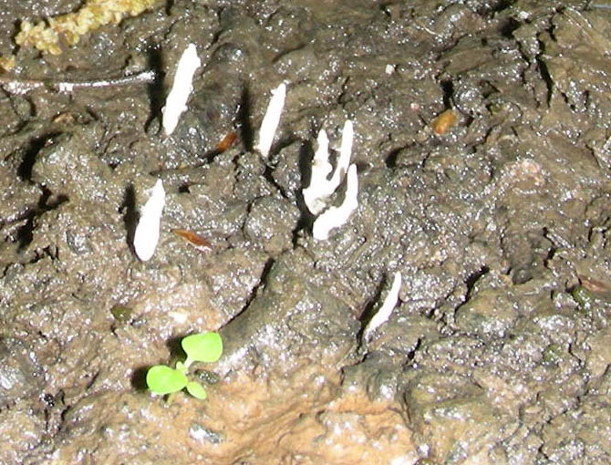 Ritrovamenti del 04.05.2010.