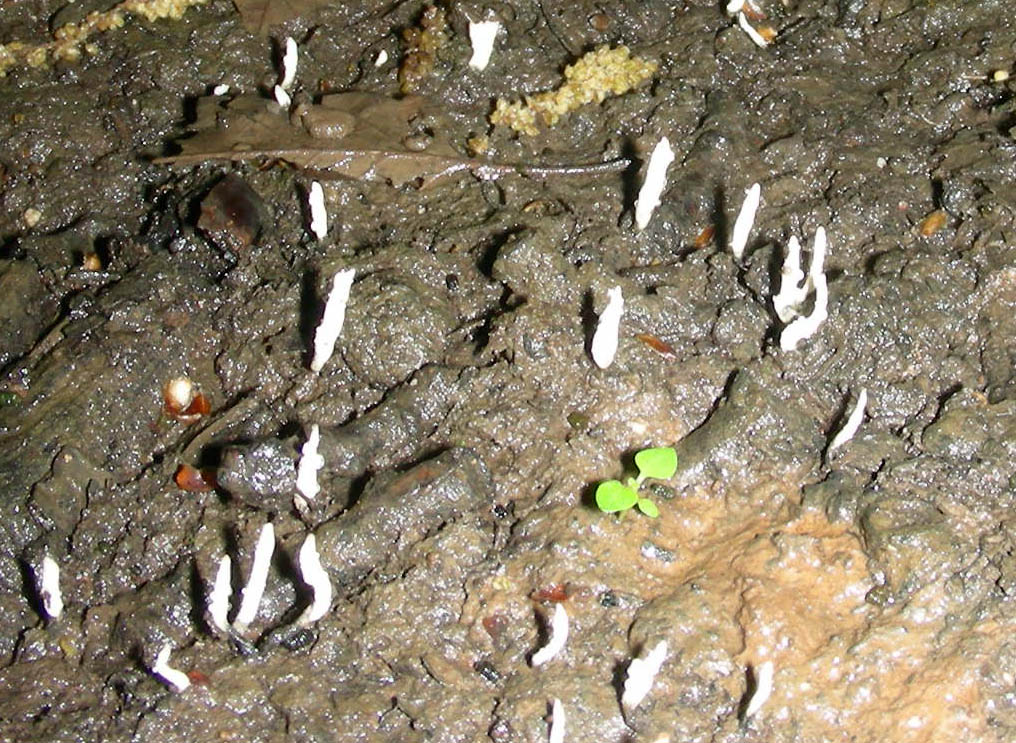 Ritrovamenti del 04.05.2010.