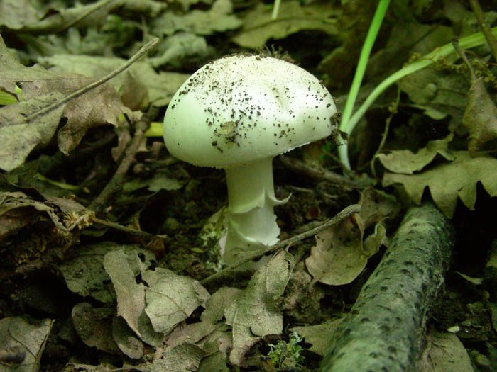 Escursione 09.05.09.