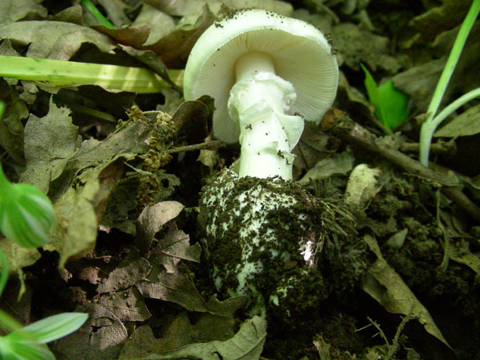 Escursione 09.05.09.