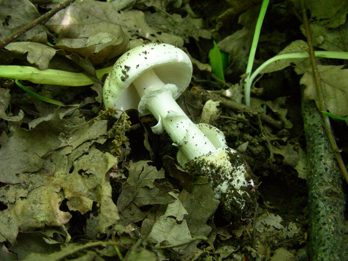 Escursione 09.05.09.