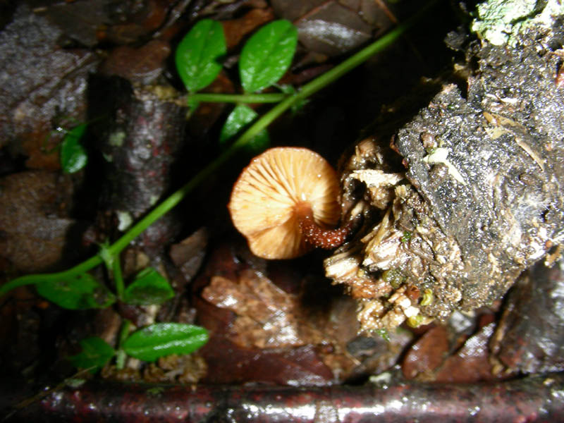 Altro ritrovamento 11.05.2010