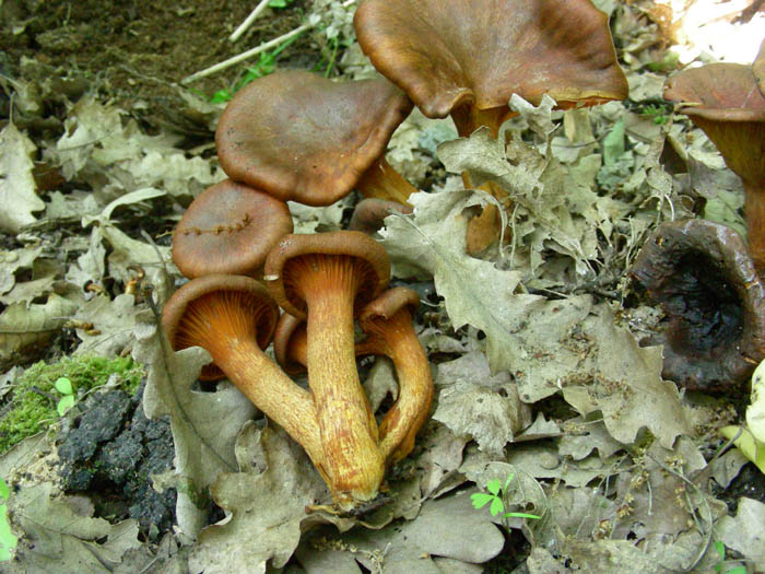 Escursione 09.05.09.