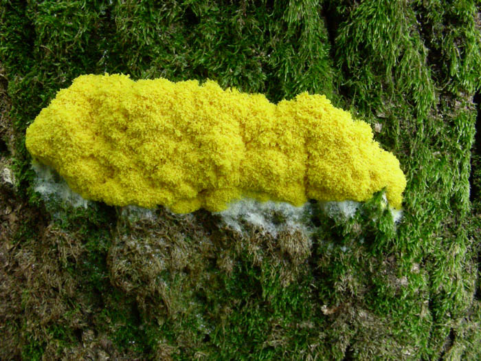 Ritrovamenti del 05.06.09.