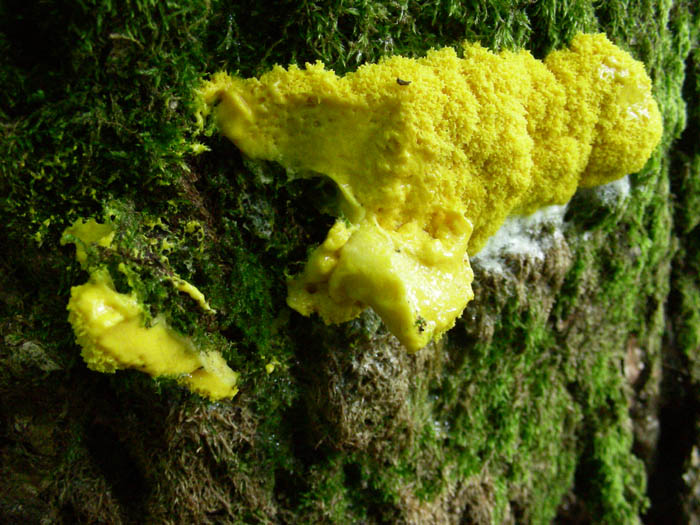 Ritrovamenti del 05.06.09.