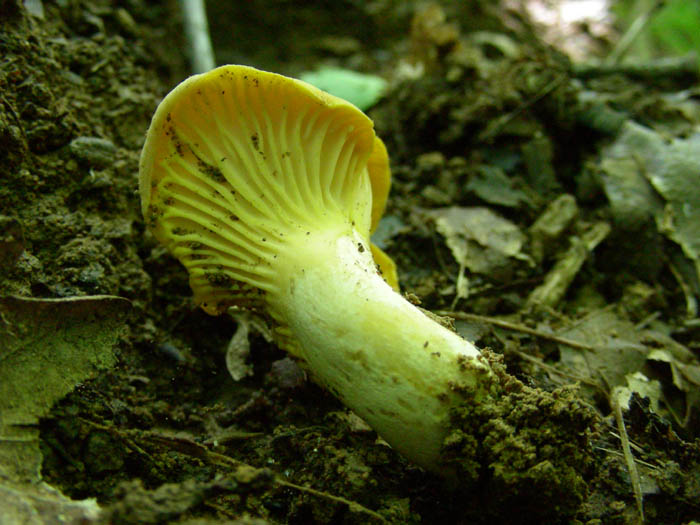 Ritrovamenti del 05.06.09.