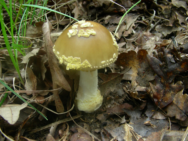 Altri ritrovamenti 14.06.08.