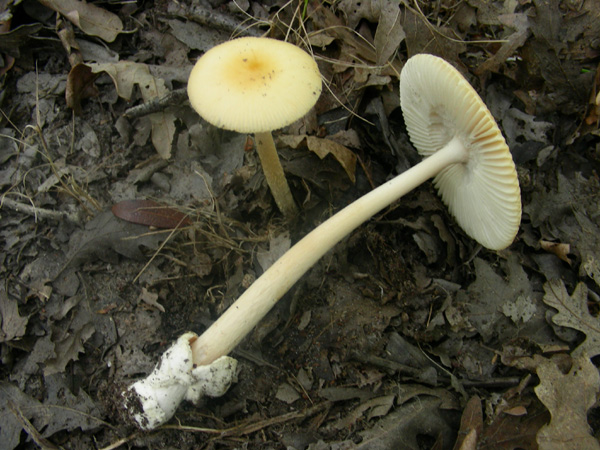 ritrovamenti 14.06.08.