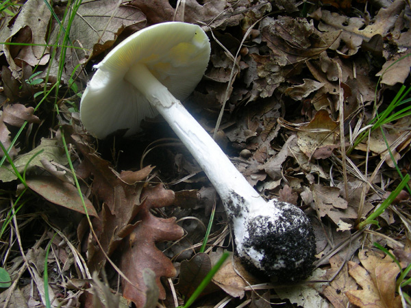 ritrovamenti 14.06.08.