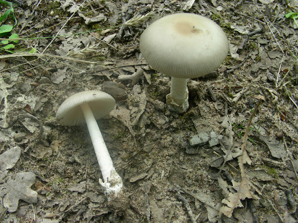 ritrovamenti 14.06.08.