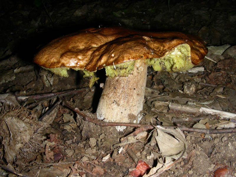 Alcuni ritrovamenti del 08.06.2010.