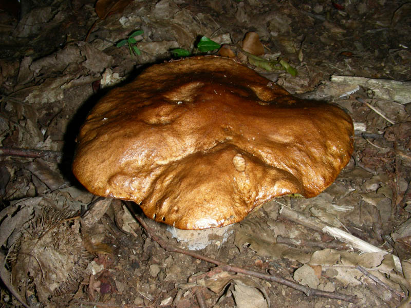 Alcuni ritrovamenti del 08.06.2010.