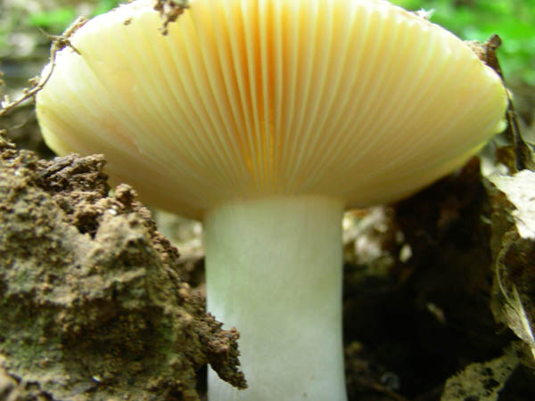 Ritrovamenti del 23.06.09.