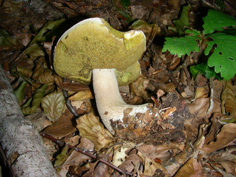 Ritrovamenti del 11.06.2010.