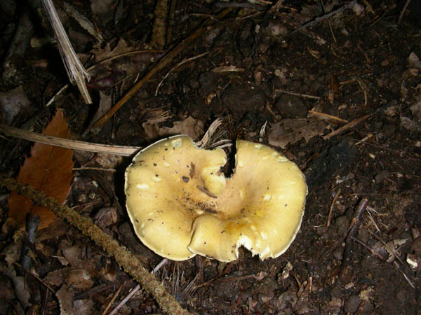 Ritrovamenti del 3/e del 7 luglio