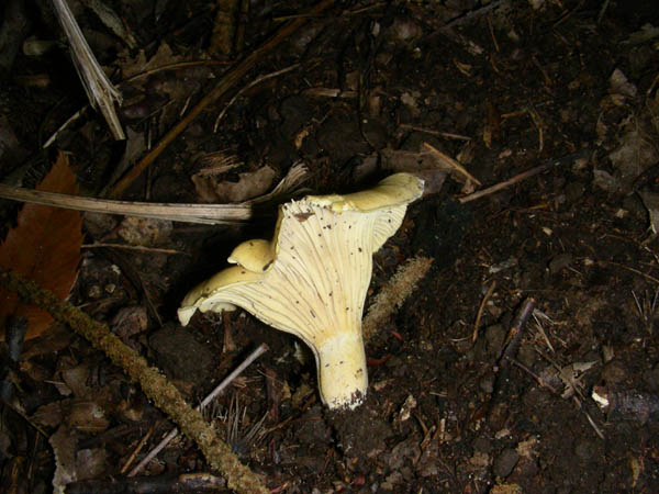 Ritrovamenti del 3/e del 7 luglio