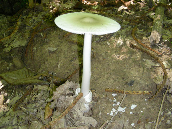 Ritrovamenti del 3/e del 7 luglio