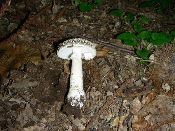 Gli ultimi ritrovamenti.