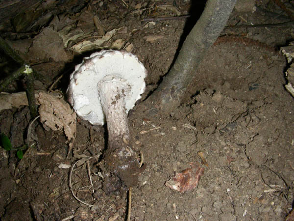 Gli ultimi ritrovamenti.