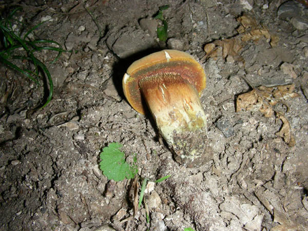 ritrovamenti 15.09.09.