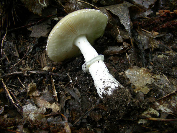 ritrovamenti 15.09.09.