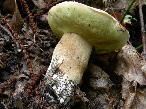 ritrovamenti 15.09.09.