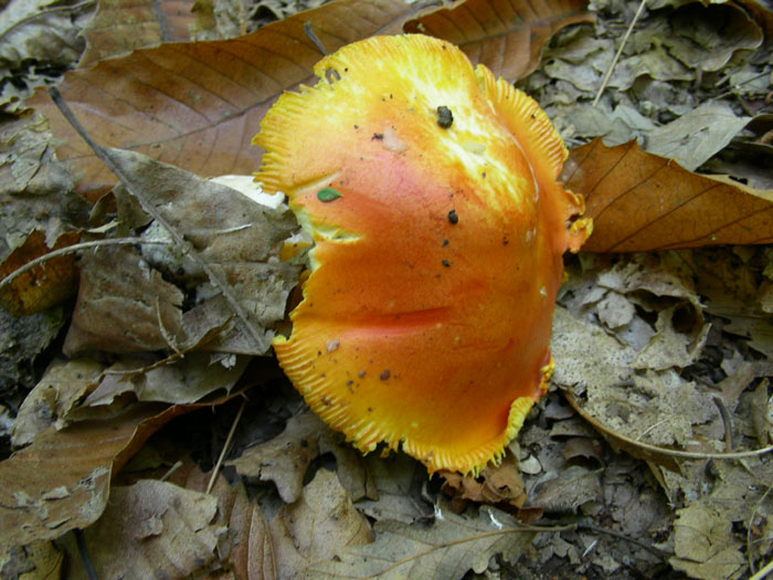 Tre ritrovamenti del 18.10.08